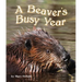 The Beavers' Busy Year