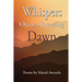 Whispers over a brewing dawn