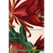 Rival Gardens: New and Selected Poems