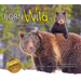Born Wild 2: In Yellowstone and Grand Teton National Parks