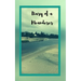 Diary of a Meanderer: Travel Journal Trip Organizer Vacation Planner for 4 trips with extensive checklists and more