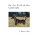On the Trail of the Catahoula