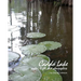 Caddo Lake: water, light and atmosphere