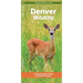 Denver Wildlife