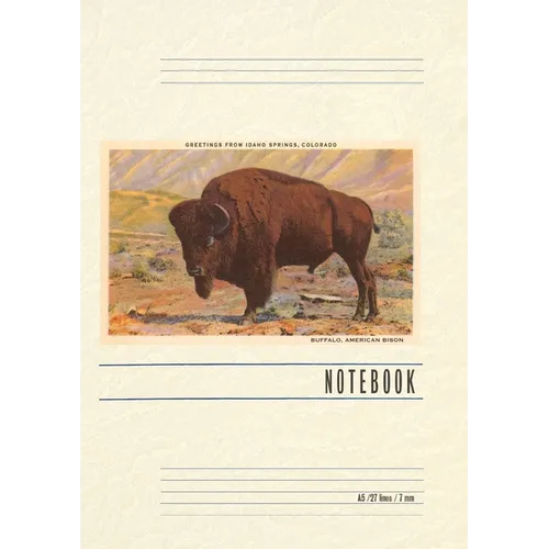 Vintage Lined Notebook Greetings from Idaho Springs