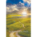 The Gift of Unconditional Love: Fulfilling the Spiritual Dimension of Life