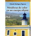 Metaforas de Color En Un Cuerpo Silente