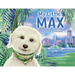 My Little Max: The Gift of Friendship
