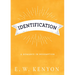 Identification: A Romance in Redemption