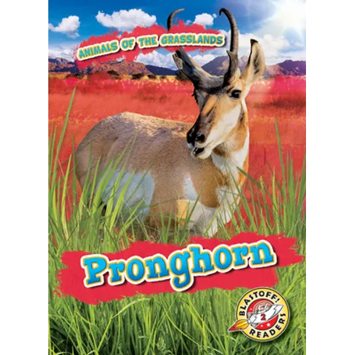 Pronghorn