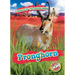Pronghorn