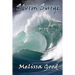 Storm Surge