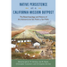Native Persistence at a California Mission Outpost: The Bioarchaeology and History of the Asistencia de San Pedro Y San Pablo