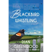 Blackbird Whistling
