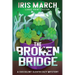 The Broken Bridge: A Succulent Sleuth Cozy Mystery