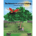 The Adventures of Lucy Ladybug: Felicia's Family