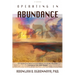 Operating in Abundance