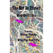 The Not So Stories: Short Stories by Rod Griffiths