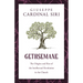 Gethsemane: The Origins and Rise of the Intellectual Revolution in the Church