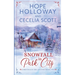 Snowfall in Park City