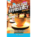 Absolute Efficiency: Book One: A Guide to Operational Efficiency in the Theme Park Industry