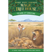 Lions at Lunchtime