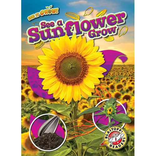 See a Sunflower Grow
