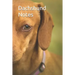 Dachshund Notes