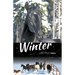 Winter with Horses