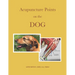 Acupuncture Points on the Dog