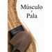 Muscle and a Shovel Spanish Version (Musculo y Pala)