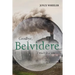 Goodbye, Belvidere: I Much Love You