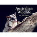 Australian Wildlife in Picture: Celebrating the Unique Nature of the Island Continent, from Kangaroos to Sea Dragons