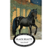 Black Beauty