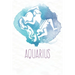 Aquarius: Constellation SchoolTimetable, Aquarius Zodiac sign Design, 6"x9", 120 pages SchoolTimetable