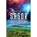 Taken to Sasor: An Alien Shifter Romance (Xiveri Mates Book 3)