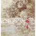 Grandmother's Memories