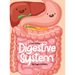 A Tour Of The Digestive System