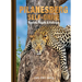 Pilanesberg Self-Drive: Routes, Roads & Ratings