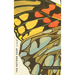 The Pattern Shop