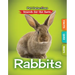 Rabbits