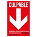 Culpable: Deregulation, Austerity and the Causes of the Grenfell Tower Fire