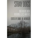 Stray Dogs: Interviews with Working-Class Writers