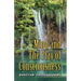 Mind and The Play of Consciousness