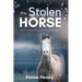 The Stolen Horse - Book 4 in the Connemara Horse Adventure Series for Kids The Perfect Gift for Children age 8-12