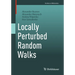 Locally Perturbed Random Walks