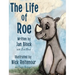 The Life of Roe