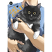 Cat + Crazy Volume 3