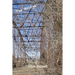 The Bridge