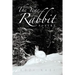 The Year of the Rabbit: Poetry